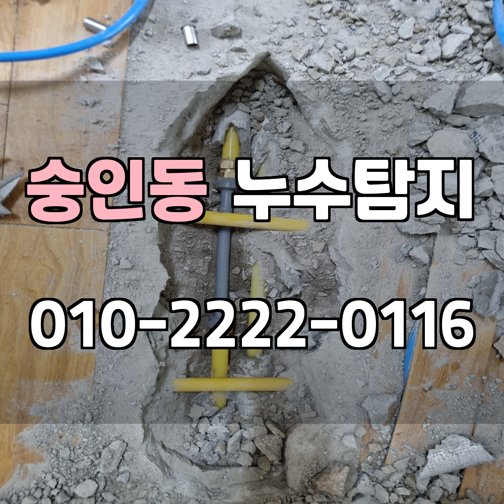 숭인동 누수탐지 서비스 지역