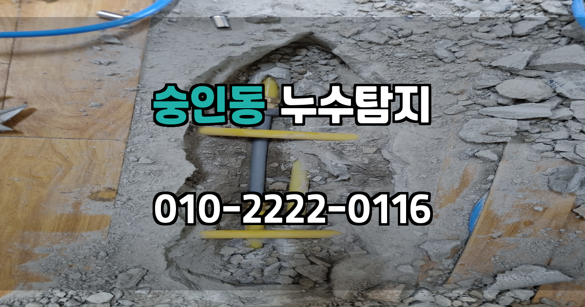 숭인동 누수탐지