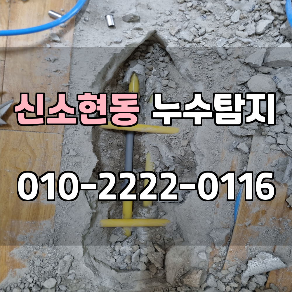 신소현동 누수탐지 서비스 지역