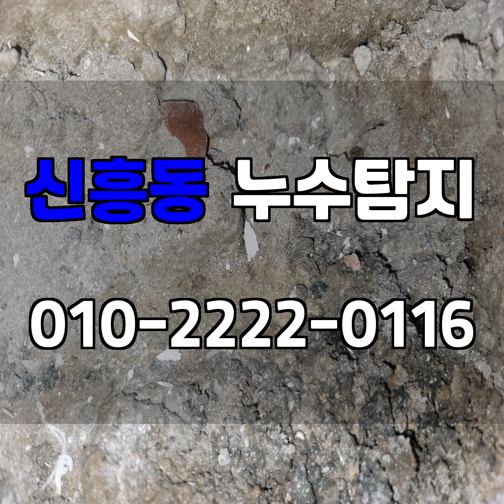 신흥동 누수탐지 서비스 지역