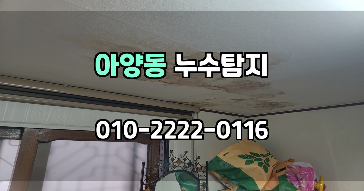 아양동 누수탐지