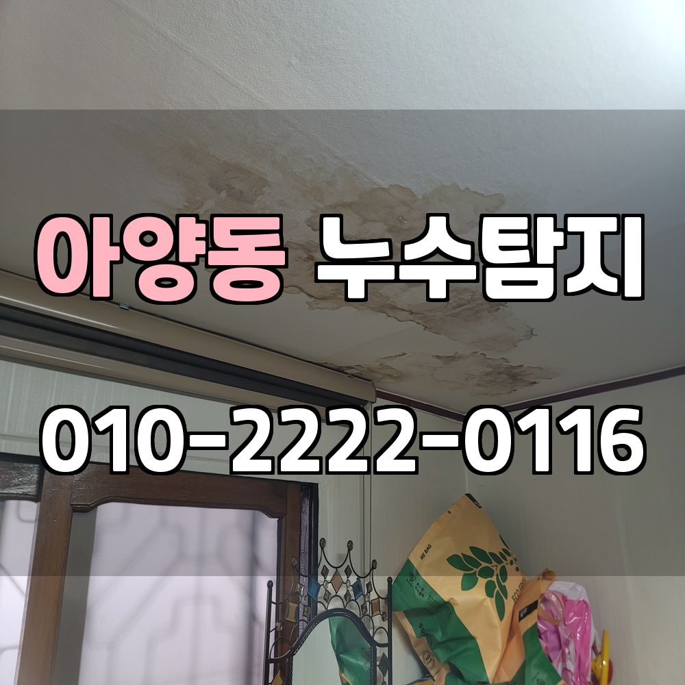 아양동 누수탐지 서비스 지역