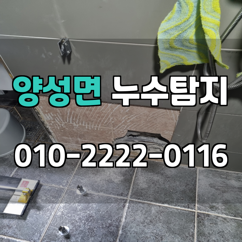 양성면 누수탐지 서비스 지역