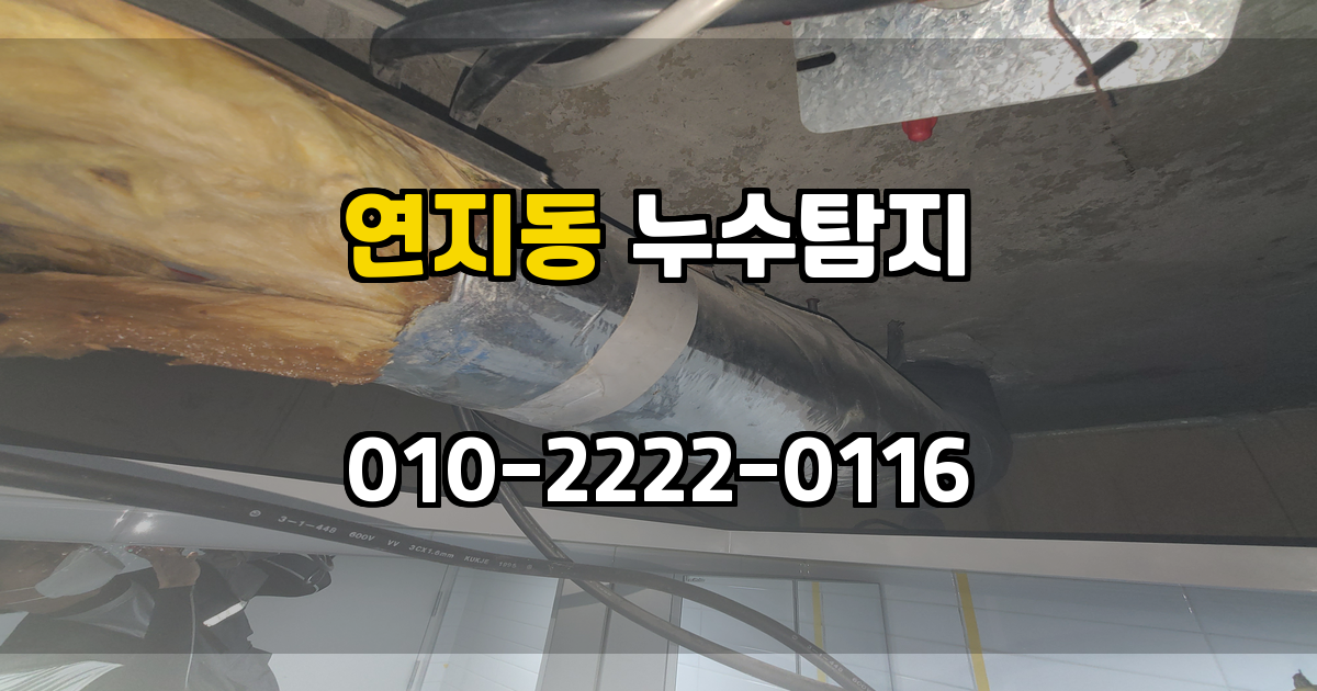 연지동 누수탐지