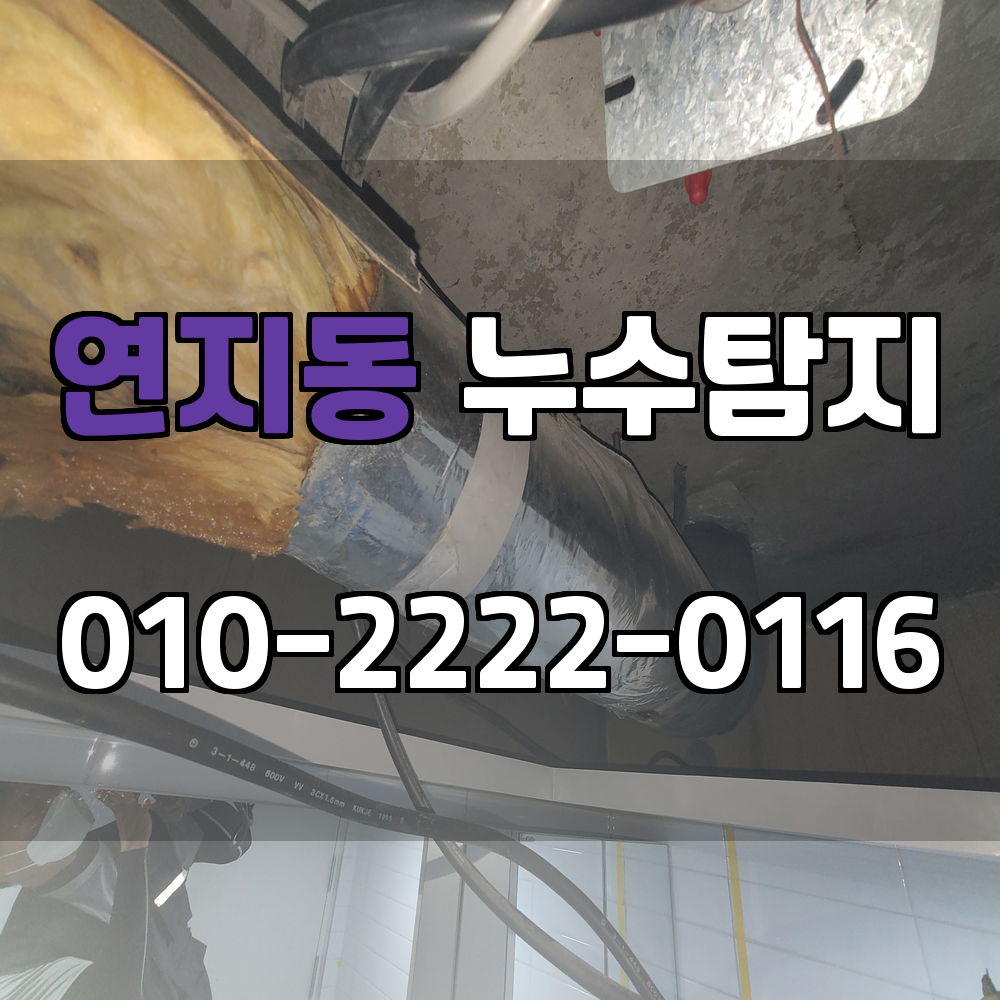 연지동 누수탐지 서비스 지역
