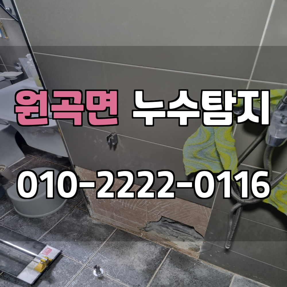 원곡면 누수탐지 서비스 지역