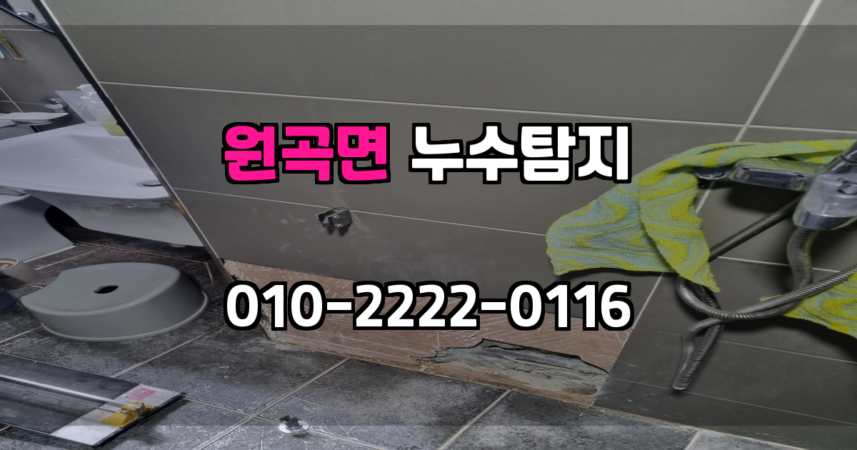 원곡면 누수탐지