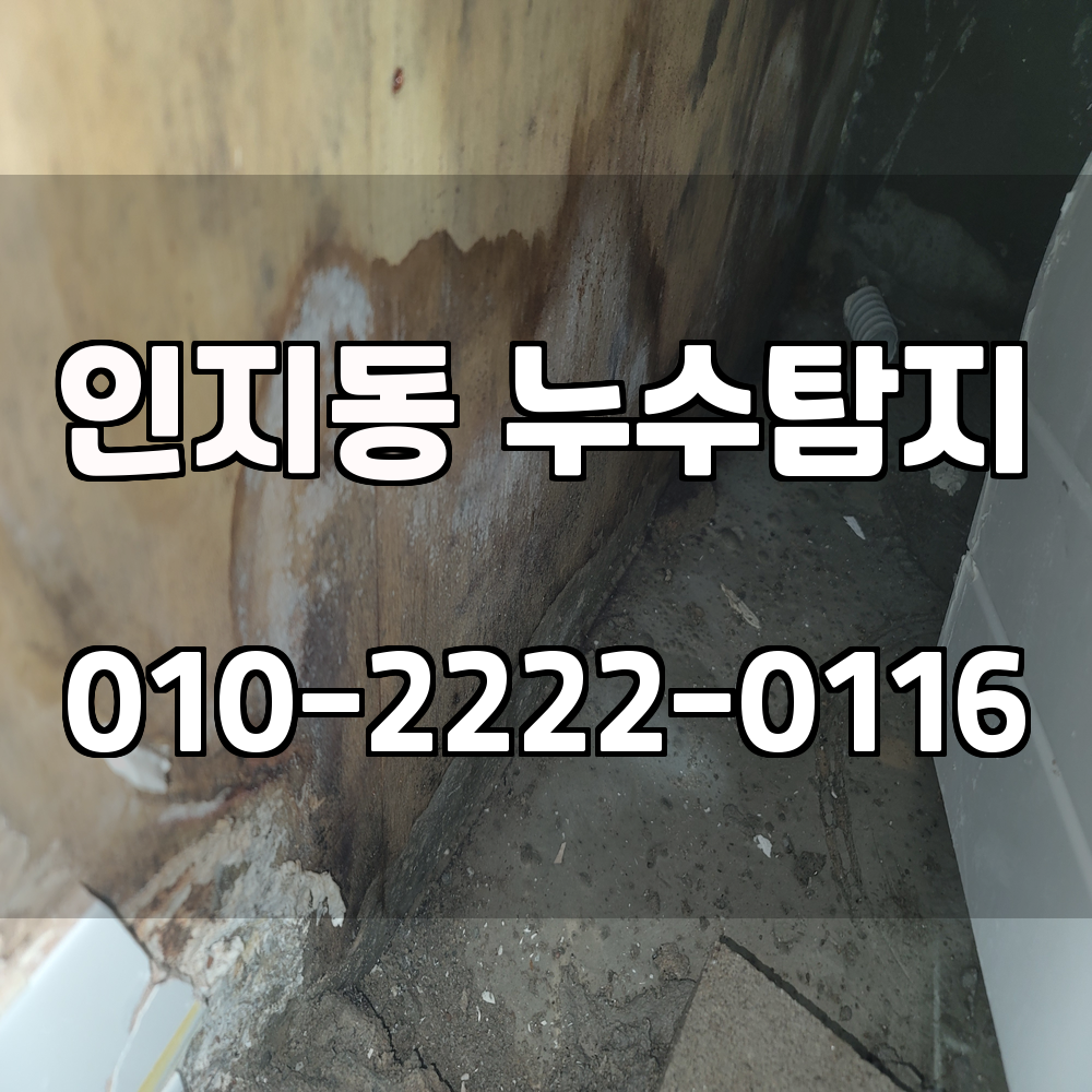 인지동 누수탐지 서비스 지역