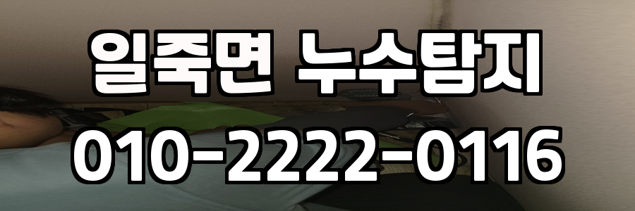 일죽면 누수탐지 비용