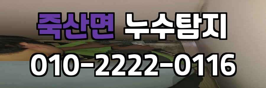 죽산면 누수탐지 비용