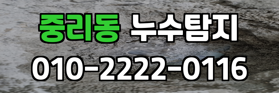 중리동 누수탐지 비용