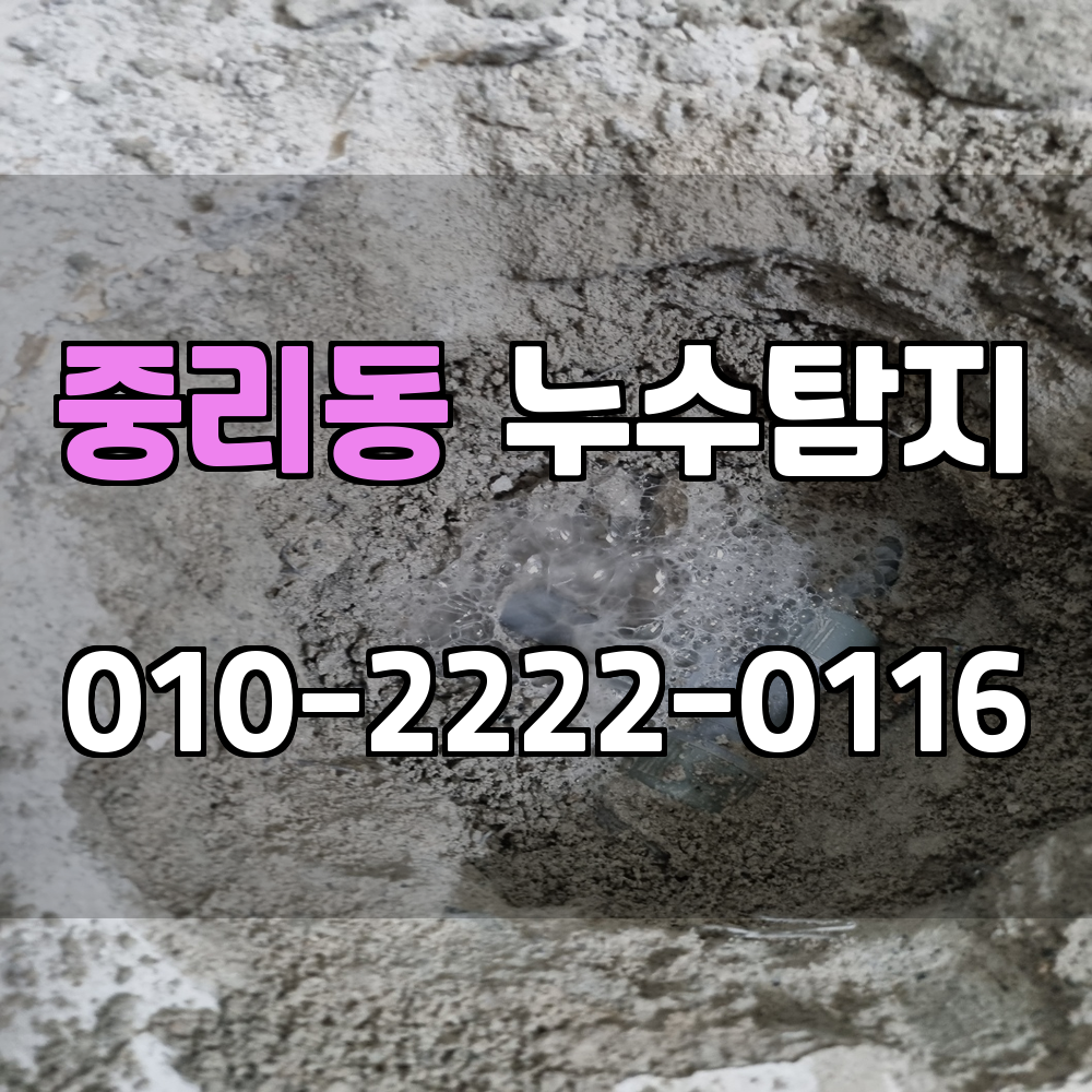중리동 누수탐지 서비스 지역