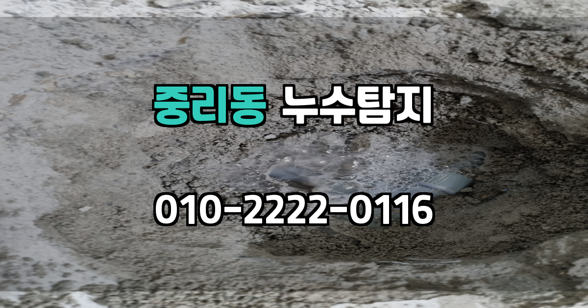 중리동 누수탐지