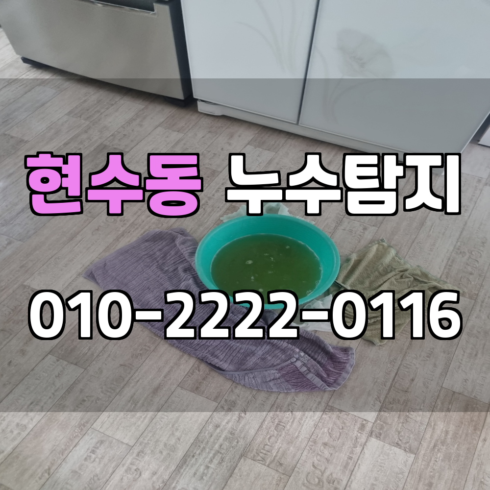 현수동 누수탐지 서비스 지역