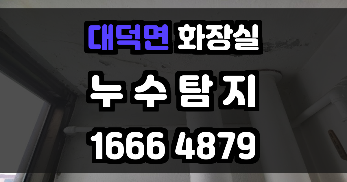 대덕면 화장실 누수