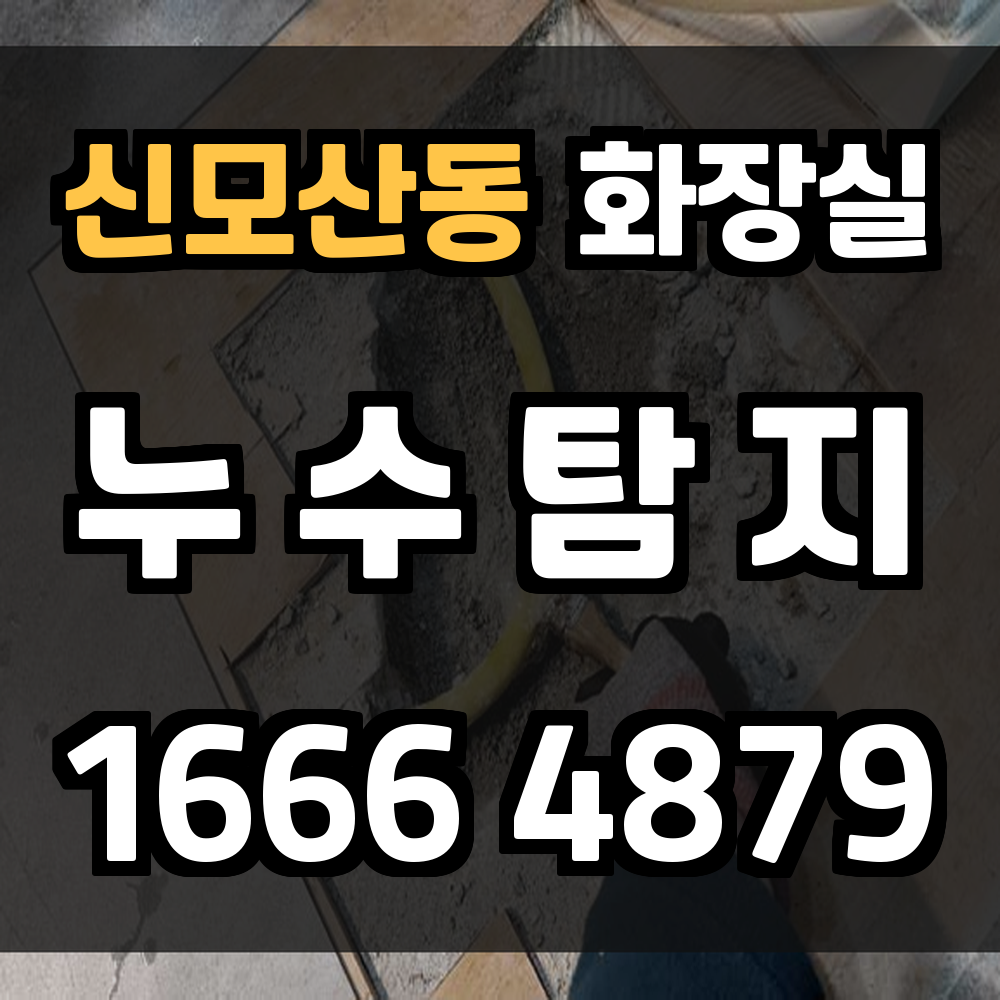 신모산동 화장실 누수탐지 정밀 탐지로 피해 최소화