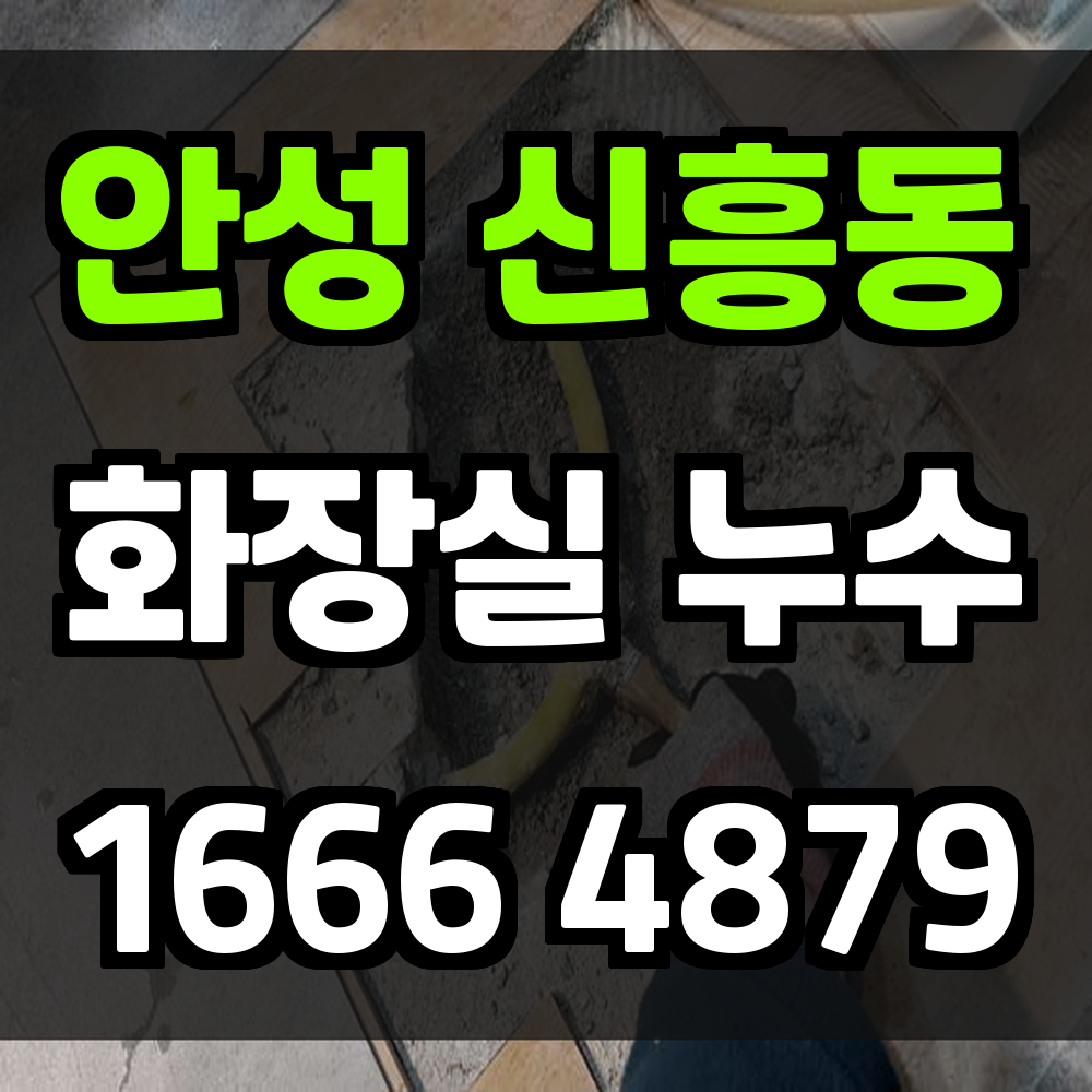 안성 신흥동 화장실 누수탐지 눈에 안보이는 문제를 정확히 진단