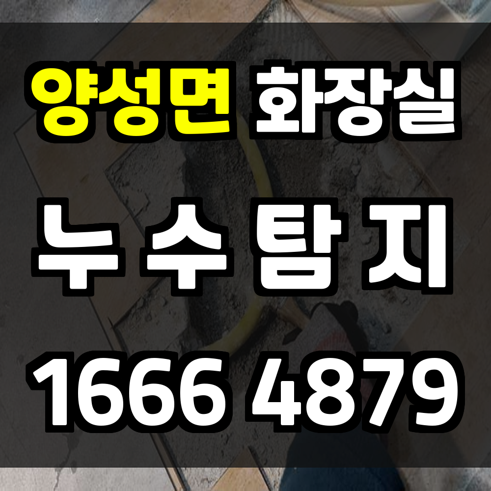 양성면 화장실 누수탐지 작은 틈도 놓치지 않는 정밀 진단