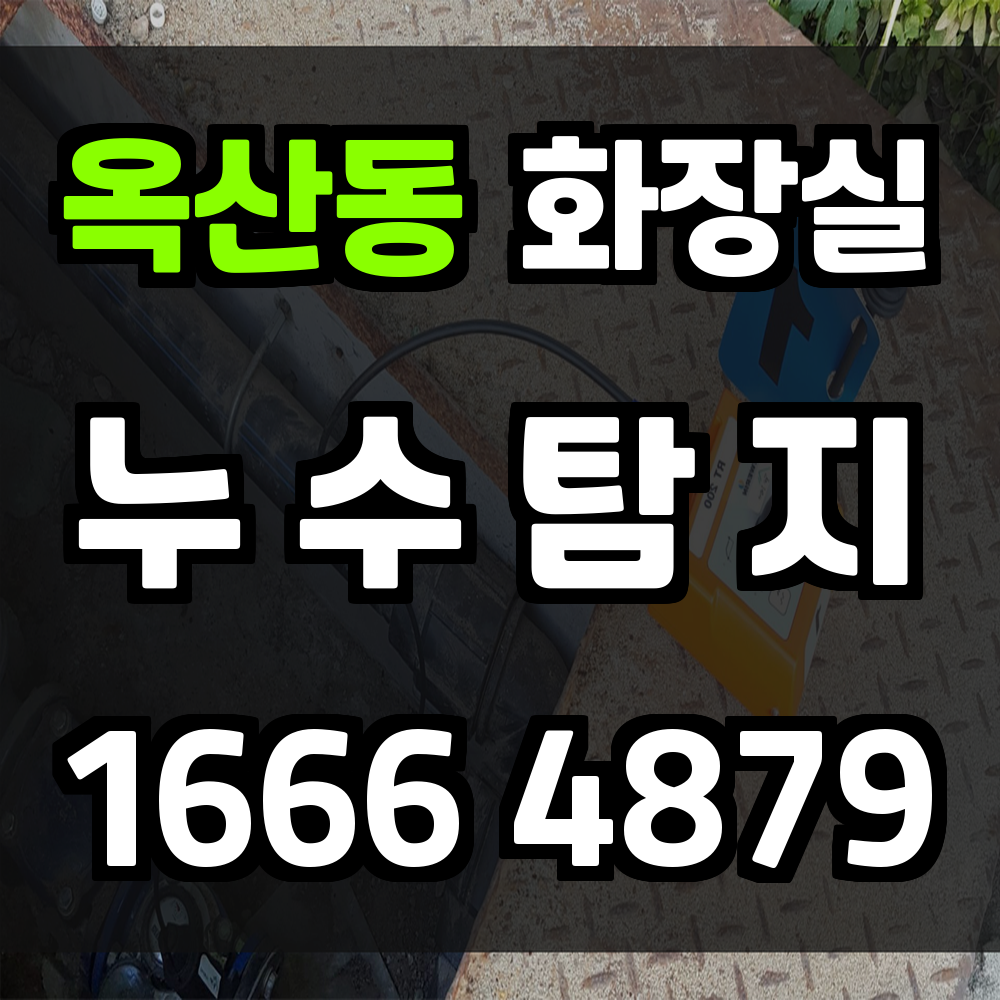 옥산동 화장실 누수탐지 곰팡이와 악취 없는 공간 만들기