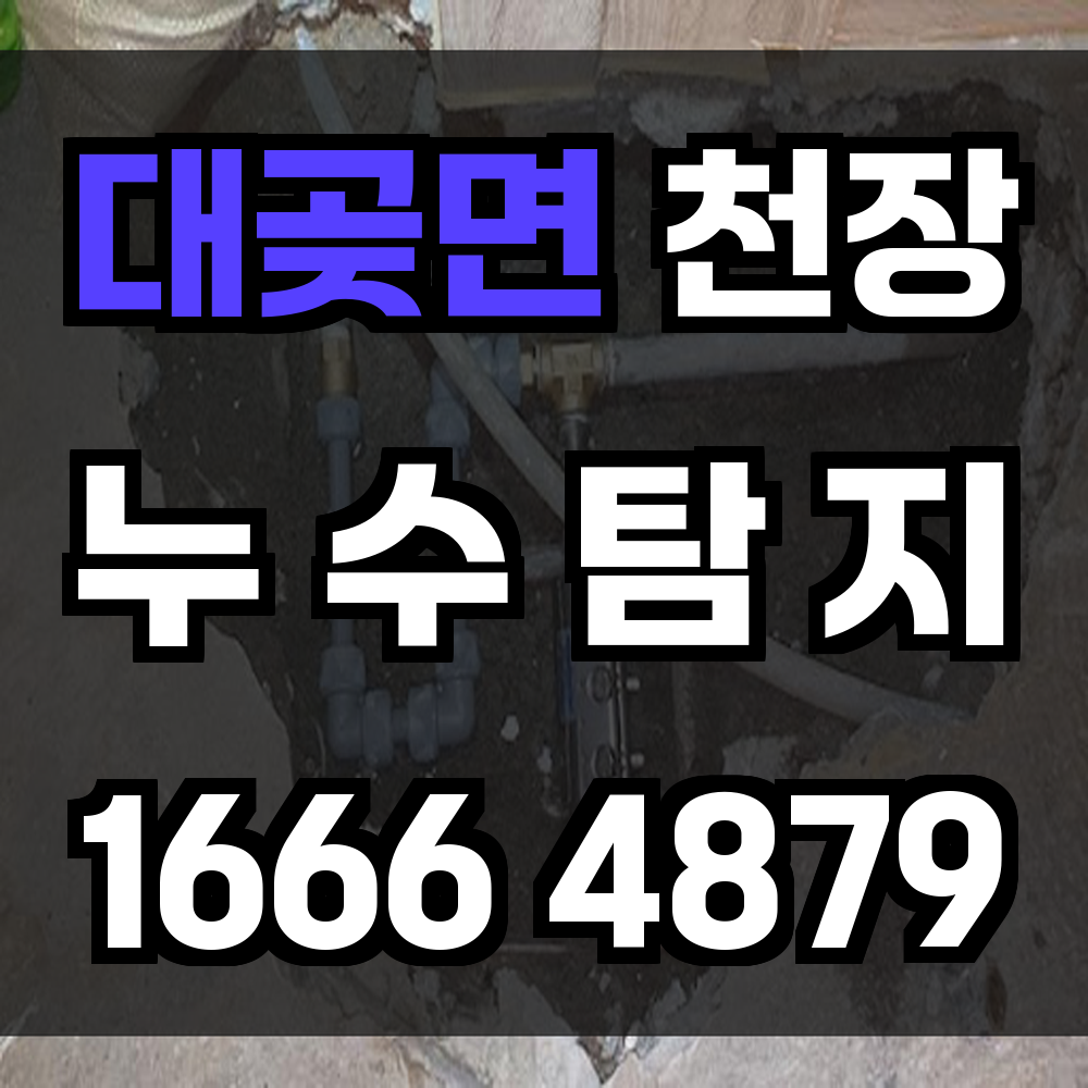 대곶면 천장 누수