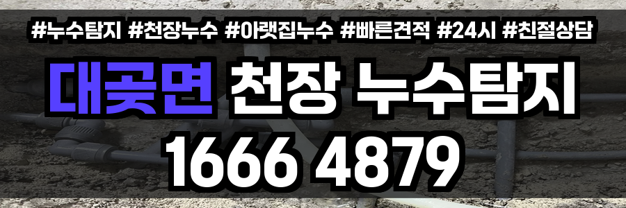 대곶면 천장 누수