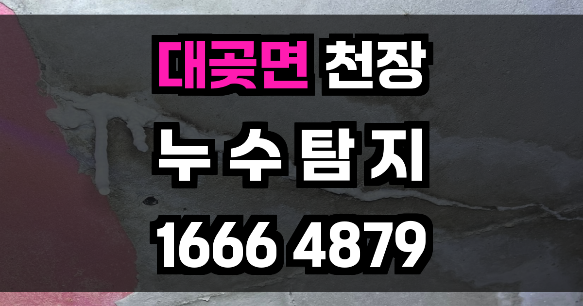 대곶면 천장 누수