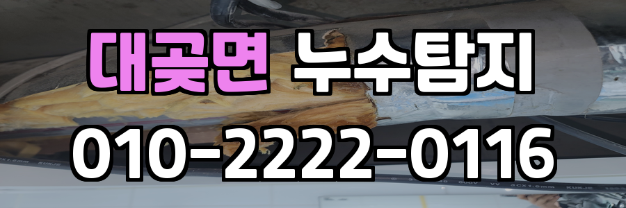 대곶면 누수탐지 비용