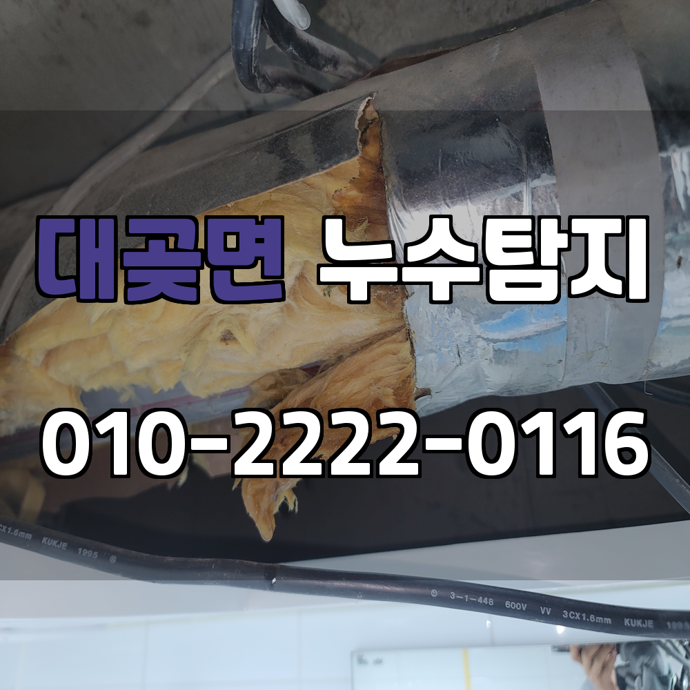 대곶면 누수탐지 서비스 지역