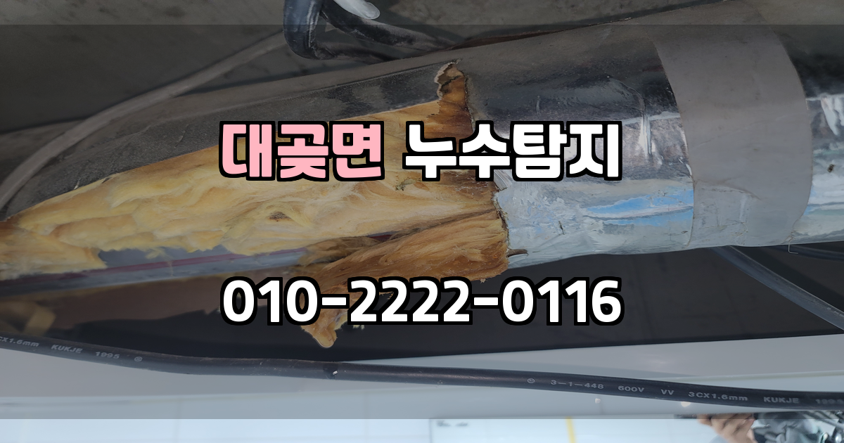 대곶면 누수탐지