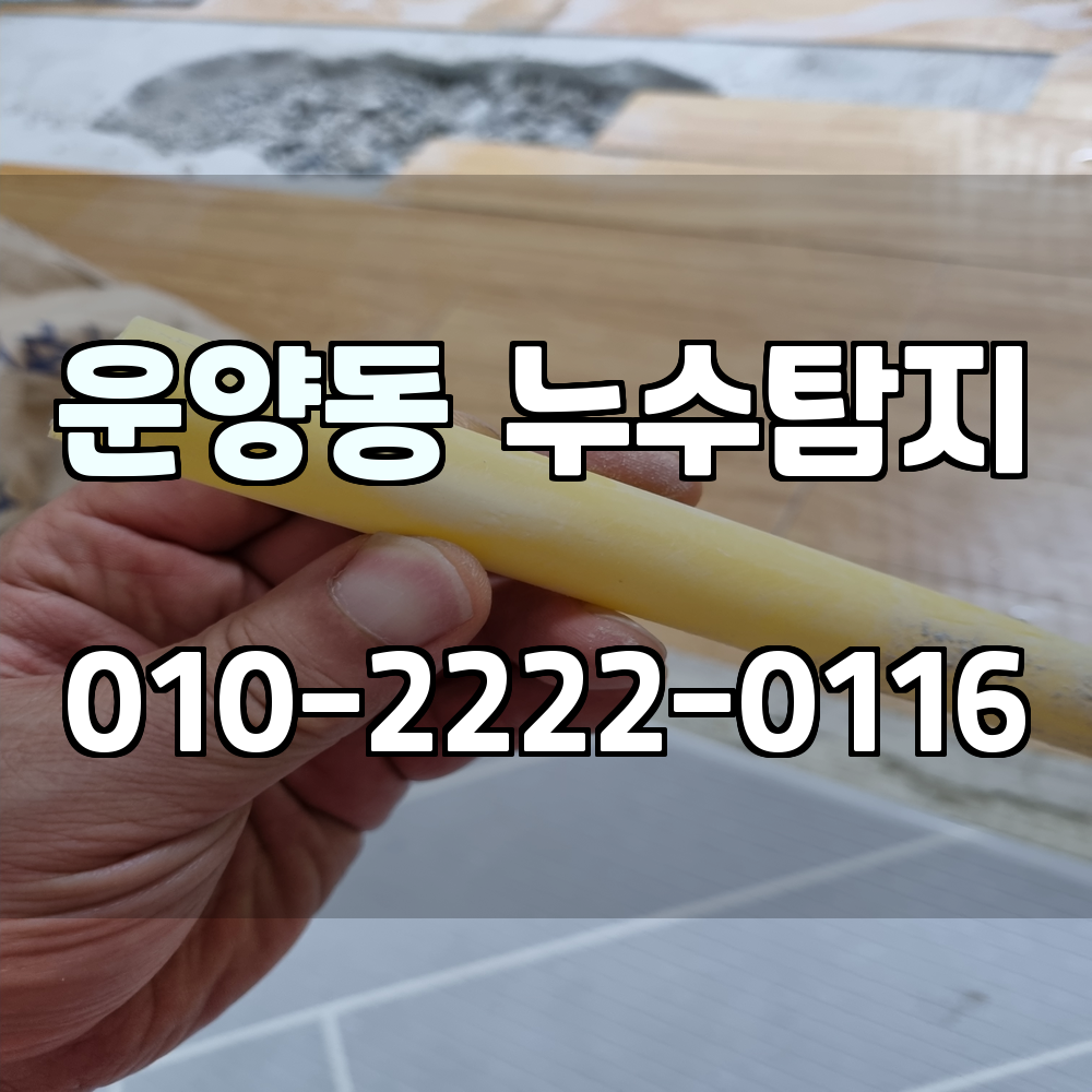 운양동 누수탐지 서비스 지역