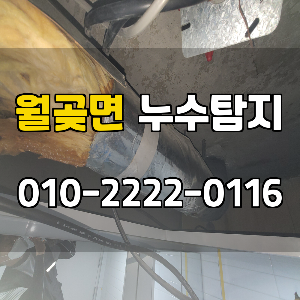 월곶면 누수탐지 서비스 지역