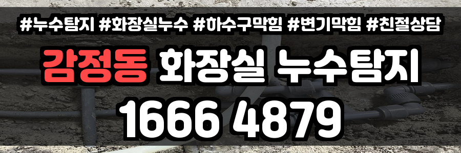 감정동 화장실 누수