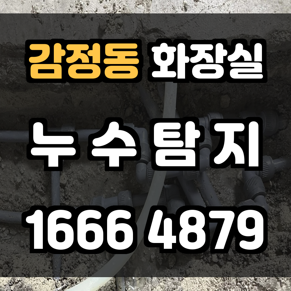 감정동 화장실 누수