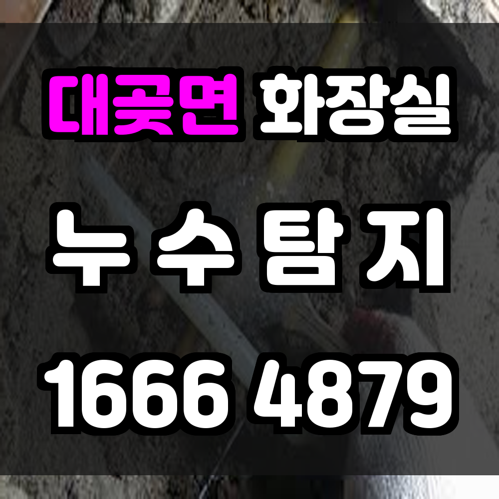 대곶면 화장실 누수