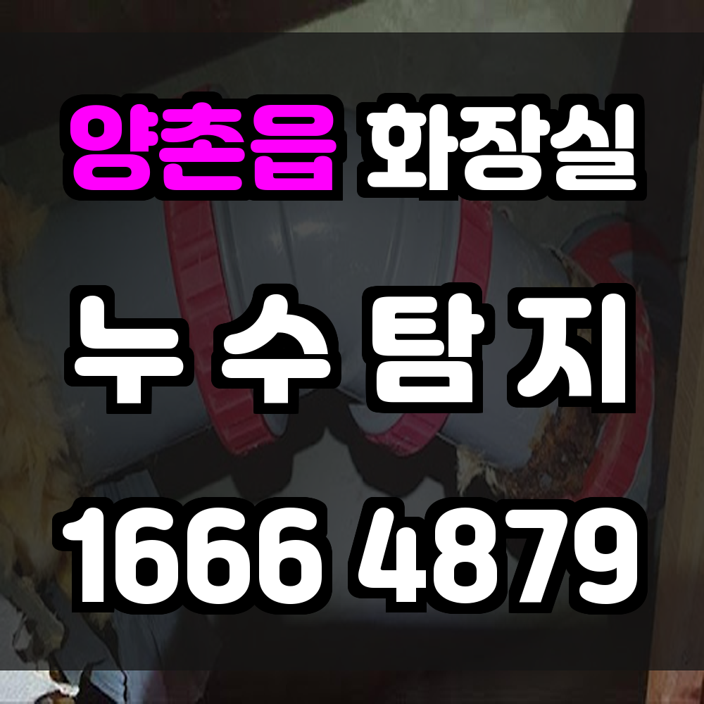 양촌읍 화장실 누수