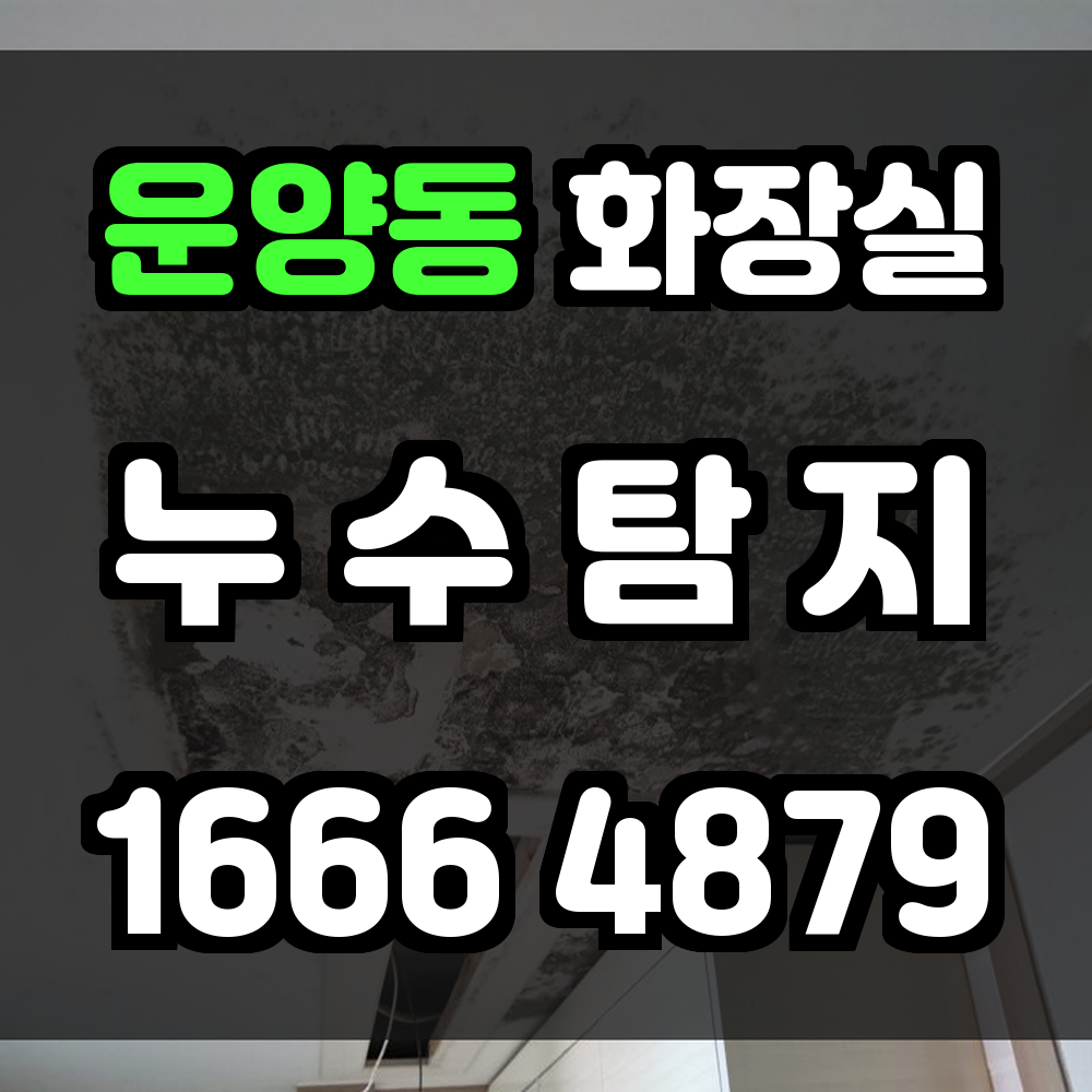 운양동 화장실 누수