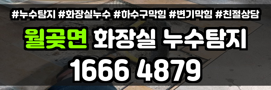 월곶면 화장실 누수