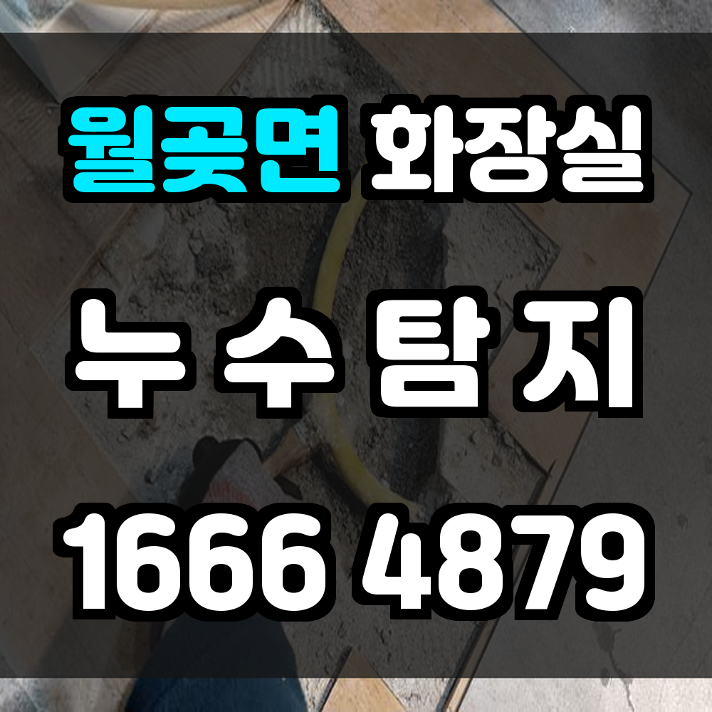 월곶면 화장실 누수