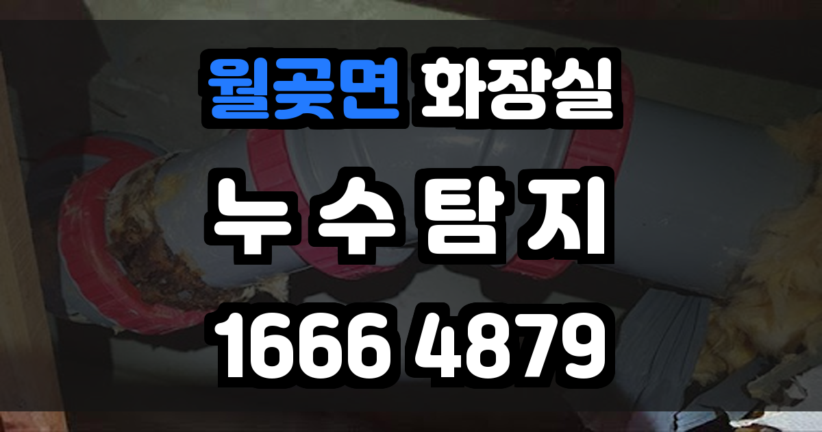 월곶면 화장실 누수