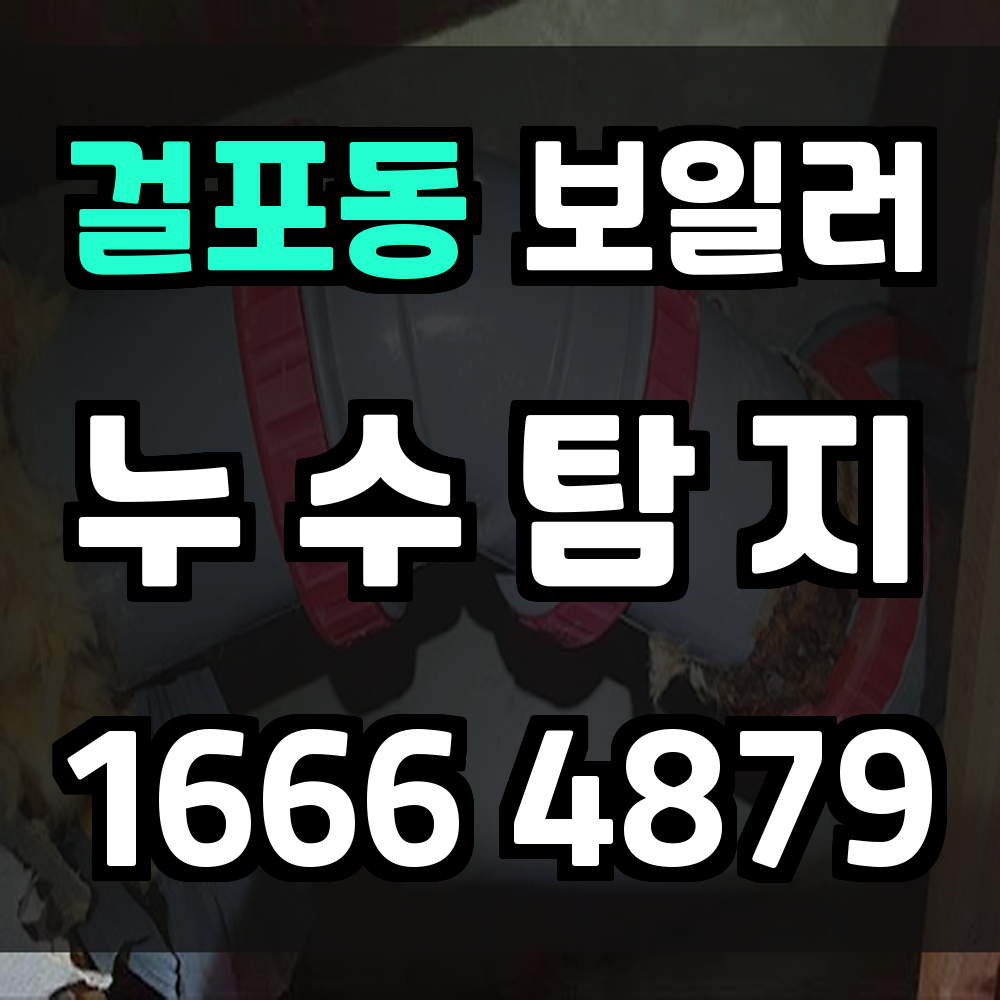 걸포동 보일러 누수탐지 주거 피해 최소화를 위한 정밀 점검