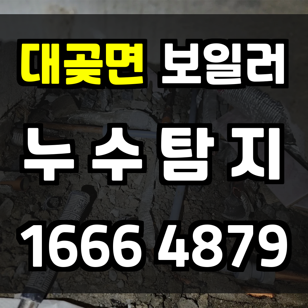대곶면 보일러 누수탐지 눈에 보이지 않는 위험까지 안전하게 해결