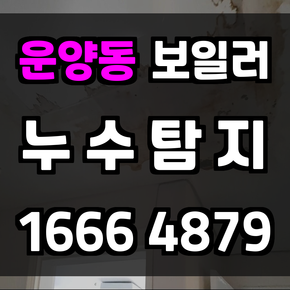 운양동 보일러 누수탐지 난방 문제의 원인을 정확히 진단합니다