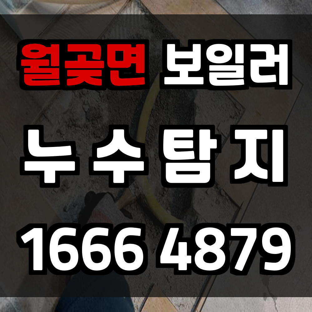 월곶면 보일러 누수