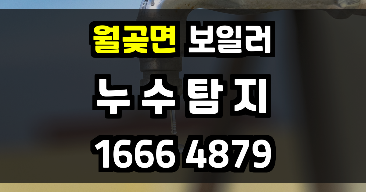 월곶면 보일러 누수