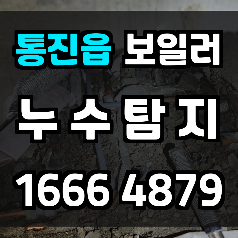 통진읍 보일러 누수탐지 정밀 진단과 신속한 문제 해결 서비스