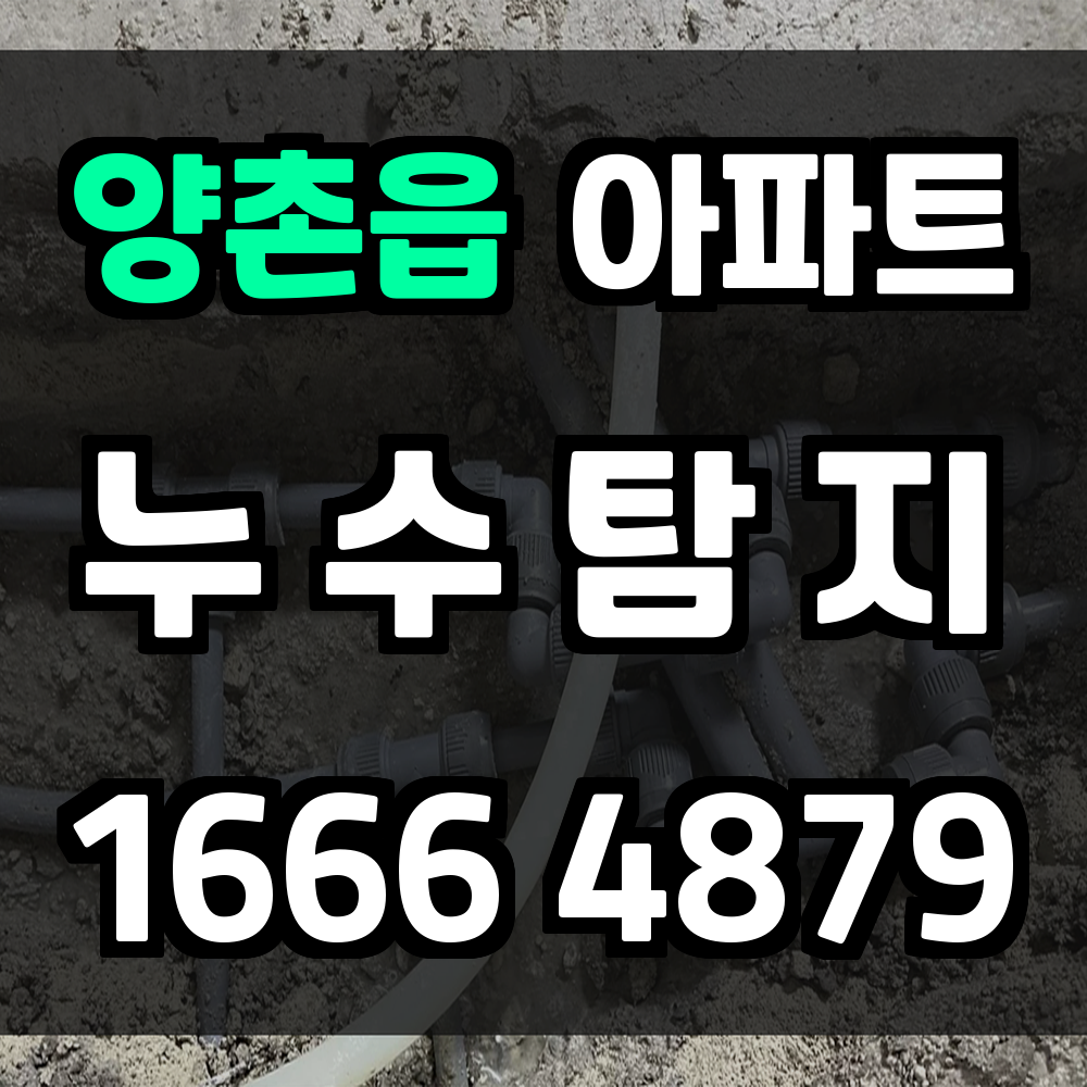 양촌읍 아파트 누수탐지 정확 진단으로 비용 절감