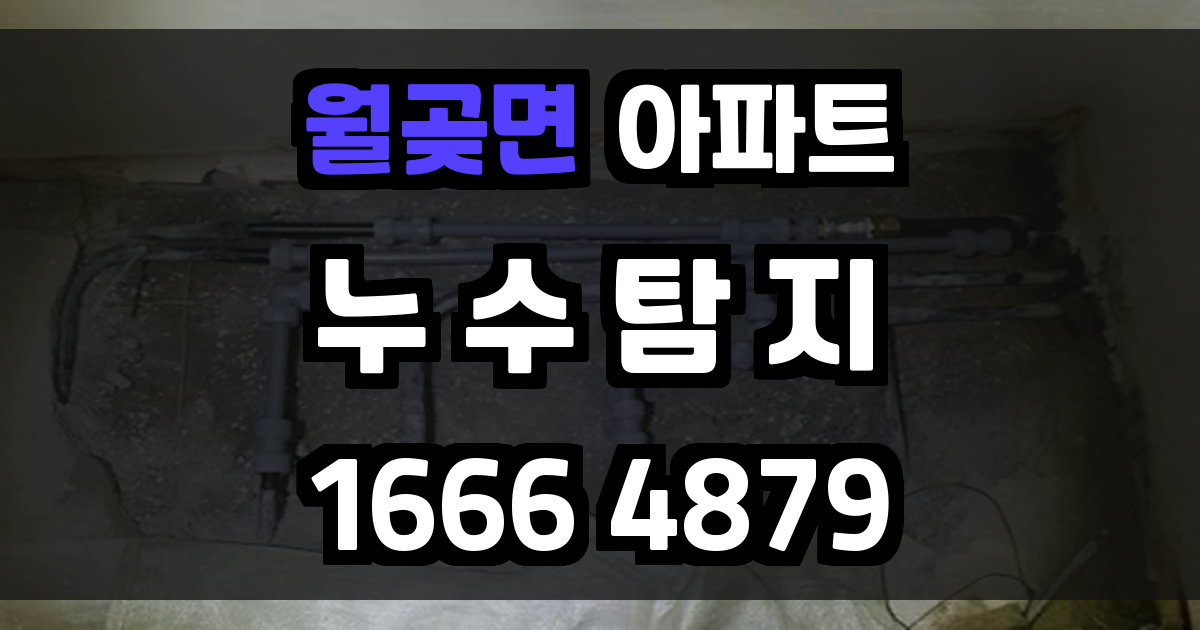 월곶면 아파트 누수