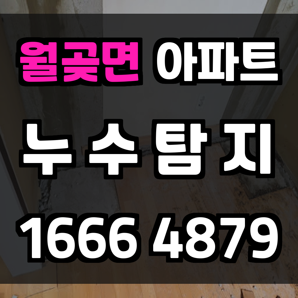 월곶면 아파트 누수탐지 최소 파손으로 정확 진단
