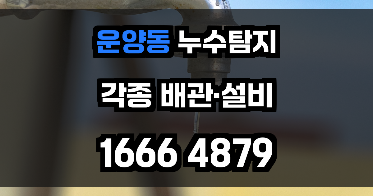 운양동 누수탐지