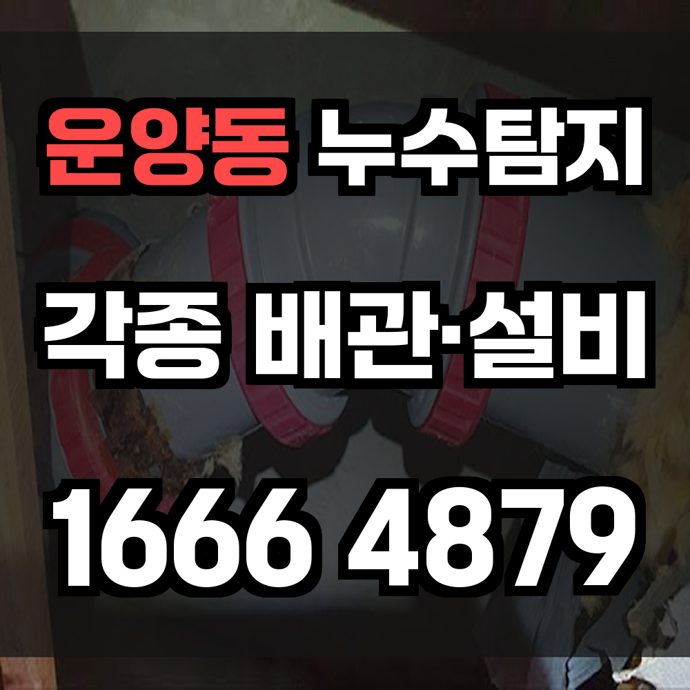 운양동 누수탐지